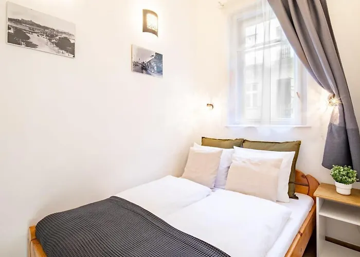 Central Comfy Home